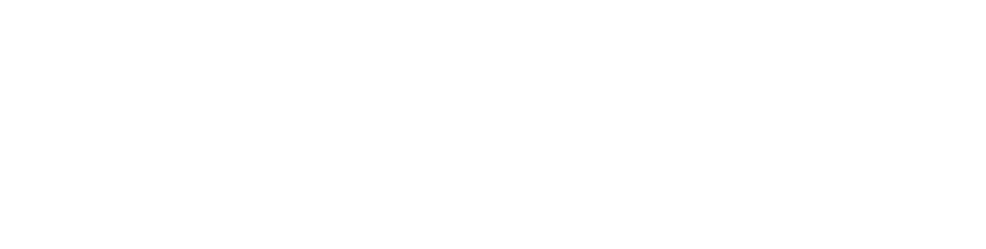 Precise Coffee logo (white)